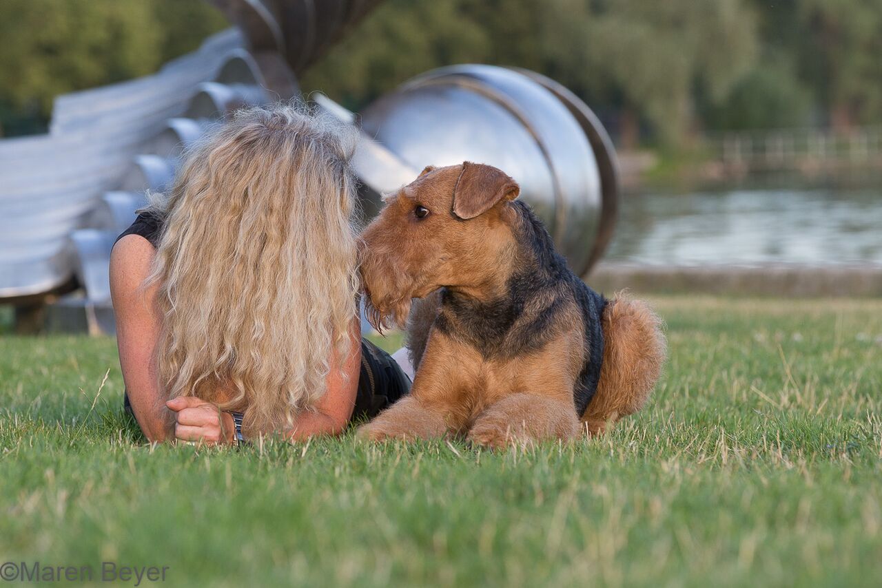Frauchen Tini mit ihrem Airedale Terrier Prinzen Zaak Zawadi von Erikson